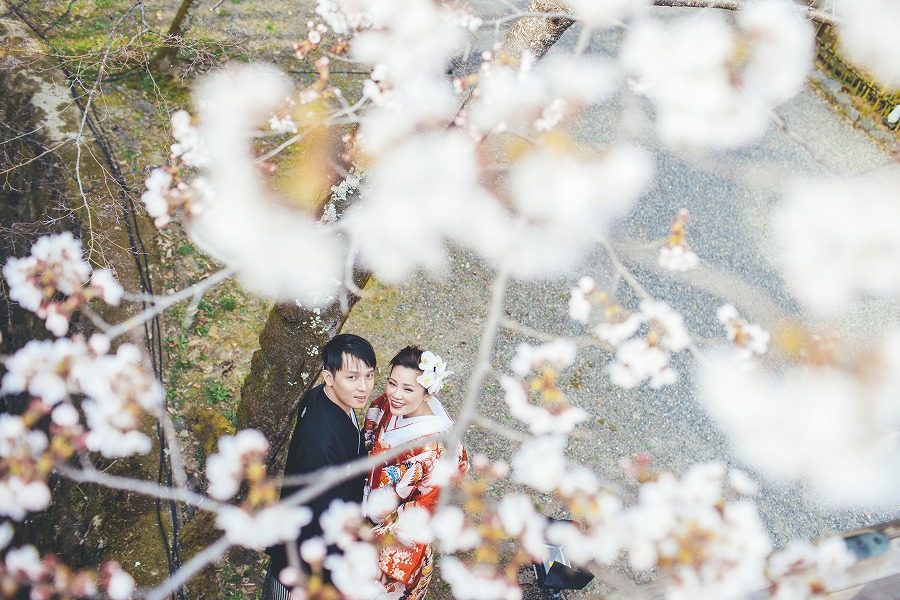 大覚寺　大沢池4月上旬