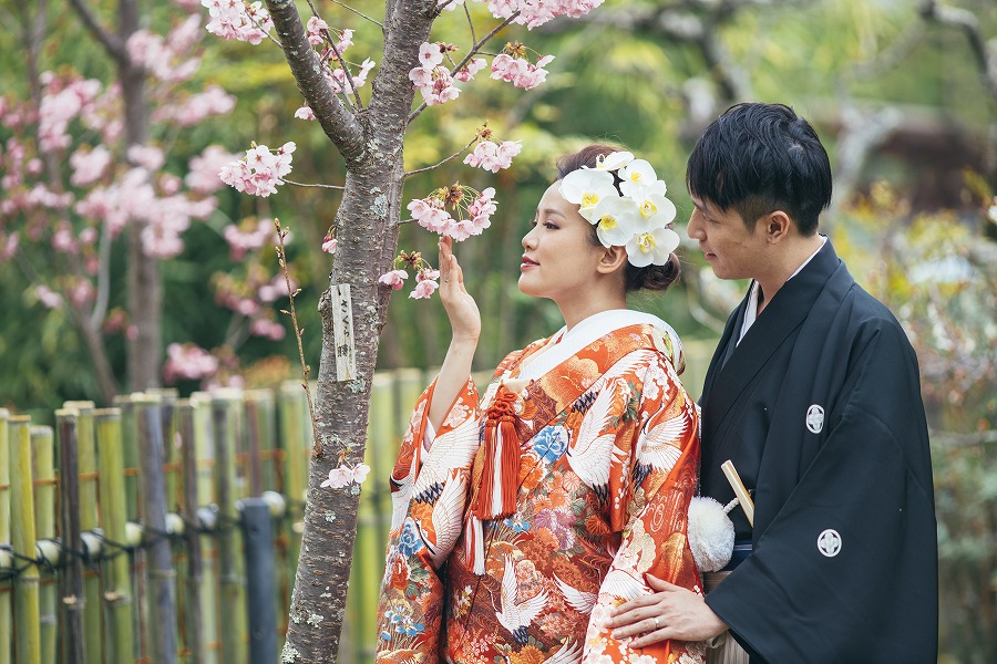 大覚寺　大沢池4月上旬