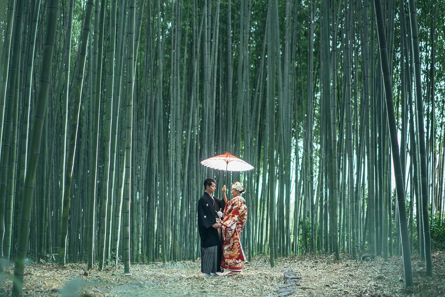 大覚寺　大沢池4月上旬