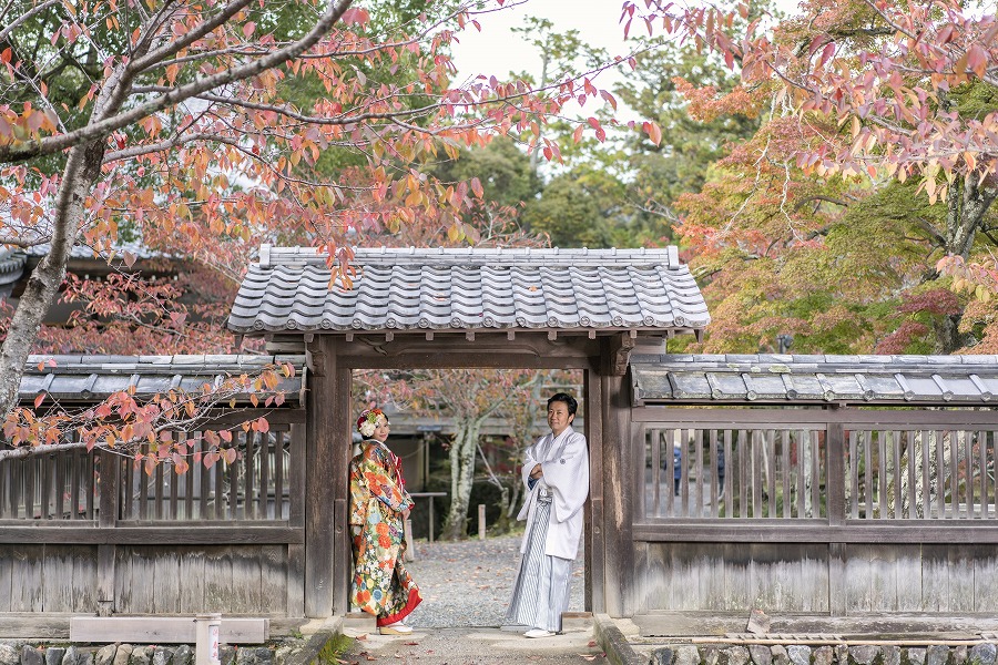大覚寺　大沢池11月中旬