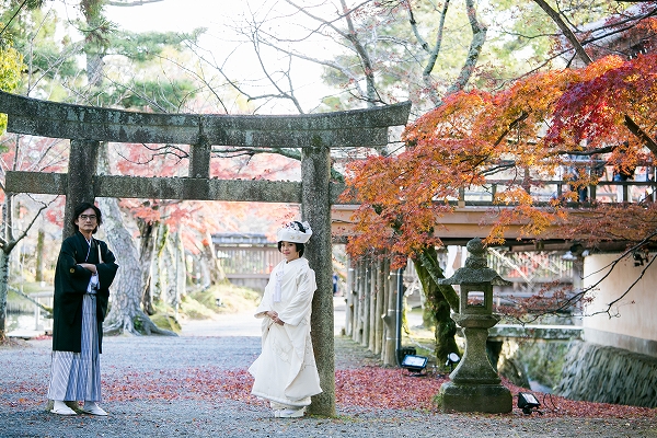 大覚寺　大沢池12月上旬