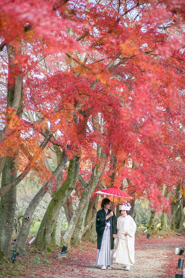 大覚寺　大沢池12月上旬