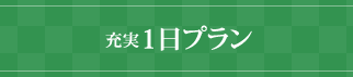 充実１日プラン¥378,000(税込)