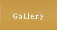 Galery